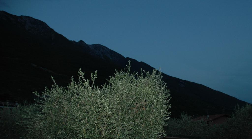 La Corte Di Magu Malcesine Kültér fotó